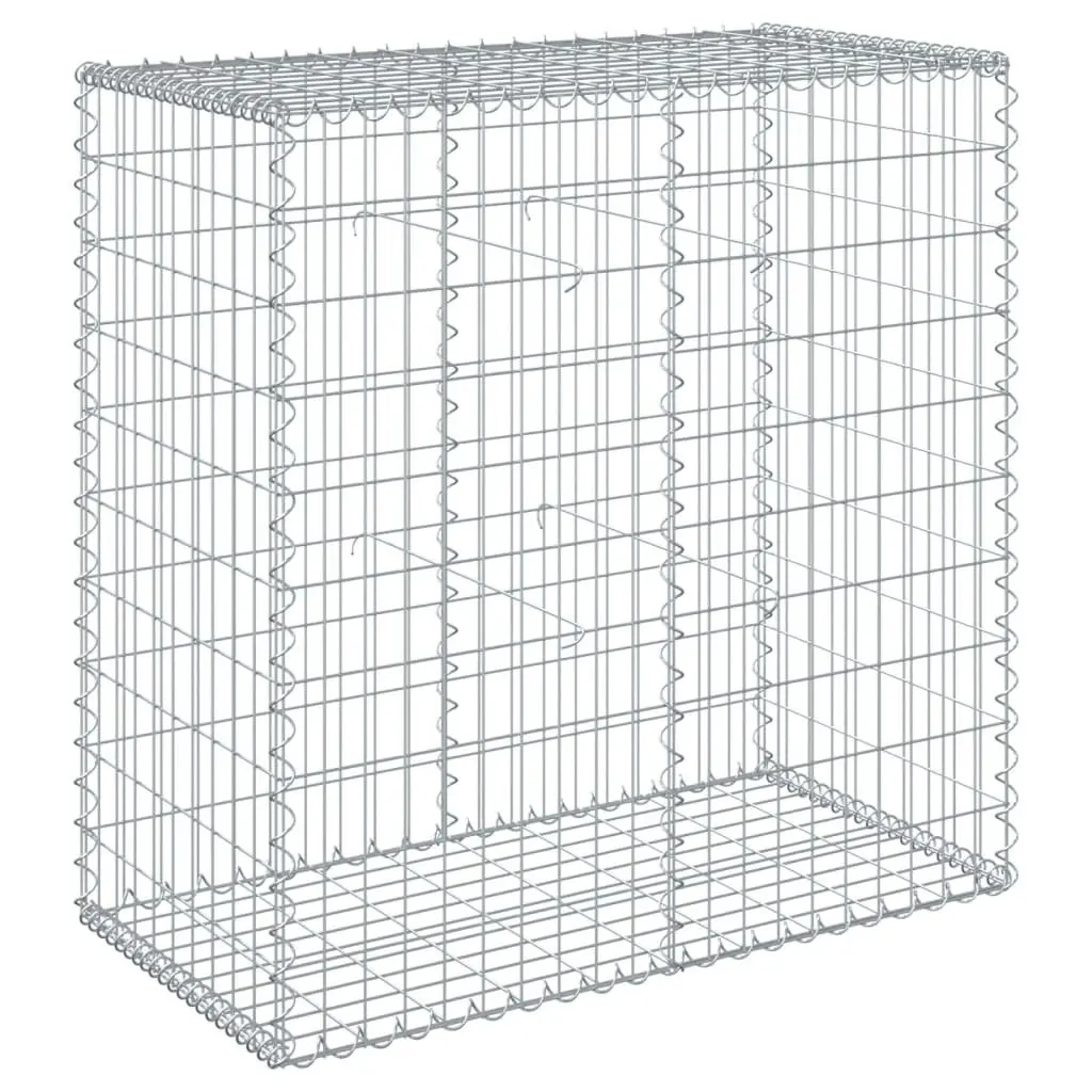 Gabion Basket with Cover Galvanised Iron Wire 100x50x100 cm Outdoor Garden Landscaping