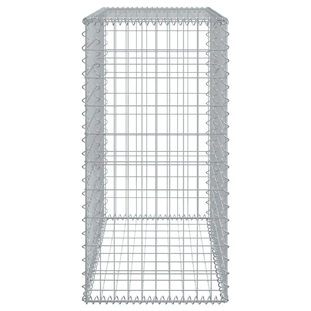 Gabion Basket with Cover Galvanised Iron Wire 100x50x100 cm Outdoor Garden Landscaping