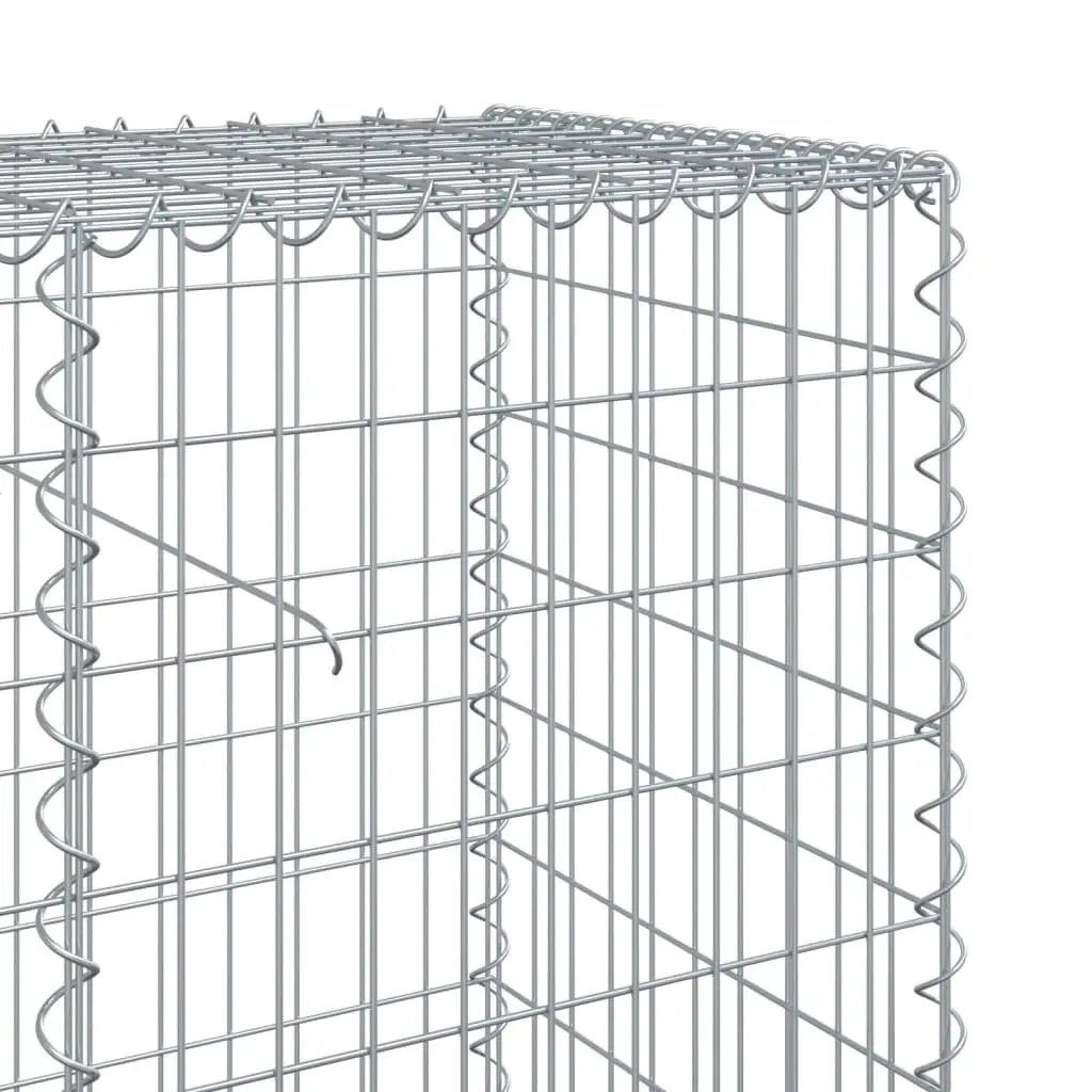 Gabion Basket with Cover Galvanised Iron Wire 100x50x100 cm Outdoor Garden Landscaping