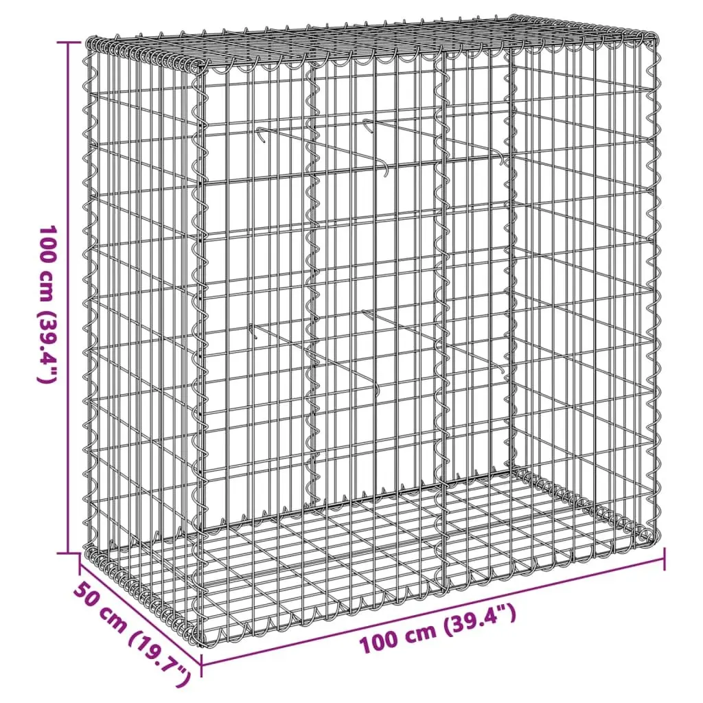 Gabion Basket with Cover Galvanised Iron Wire 100x50x100 cm Outdoor Garden Landscaping