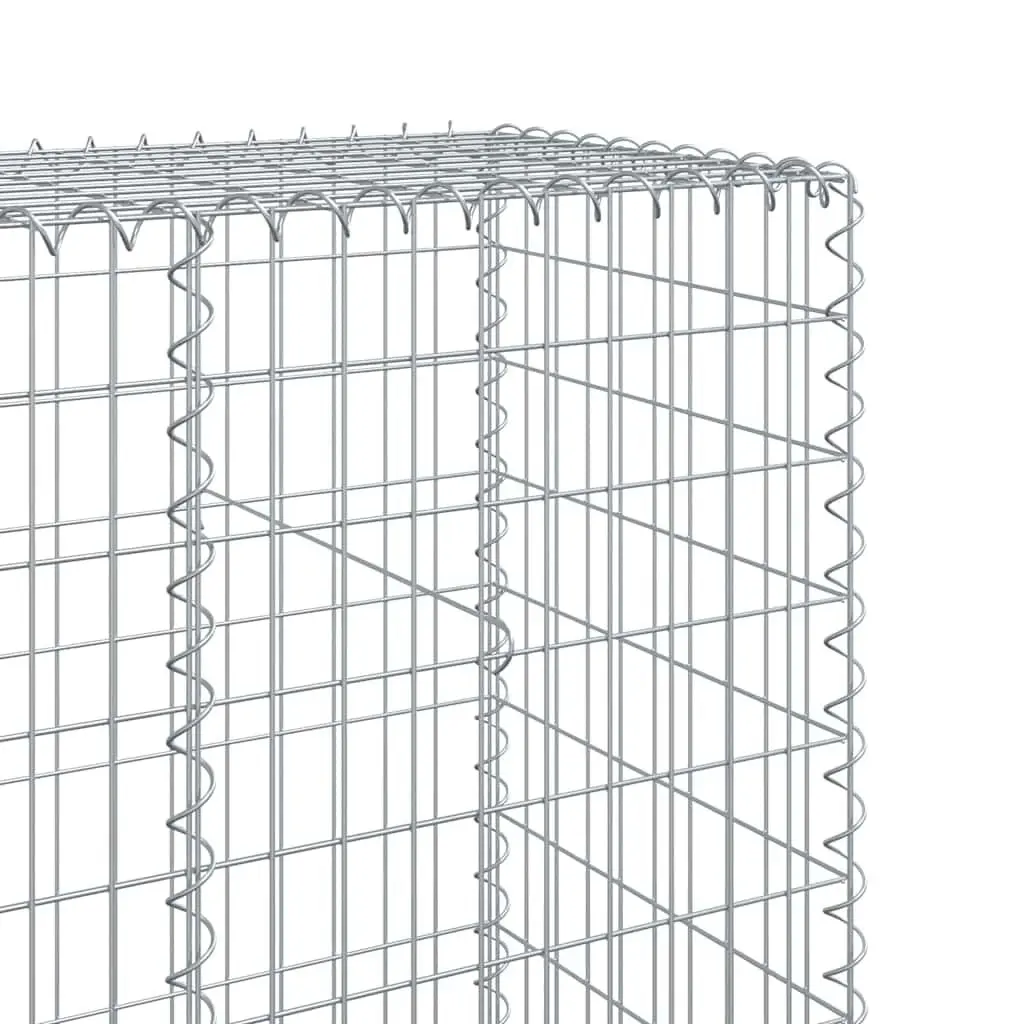 Gabion Basket with Cover Galvanised Iron 300x50x200 cm Garden Retaining Wall