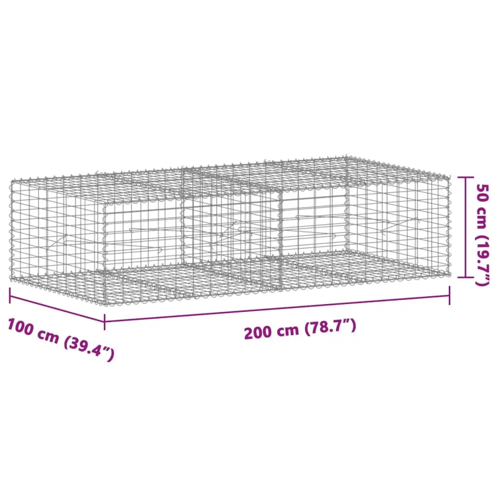 Gabion Basket with Cover Galvanised Iron Wire 200x100x50 cm Garden Retaining Wall