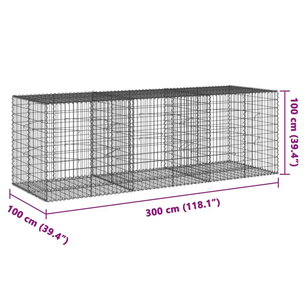 Gabion Basket with Cover Galvanised Iron Wire 300x100x100 cm Garden Retaining Wall Decorative Cage