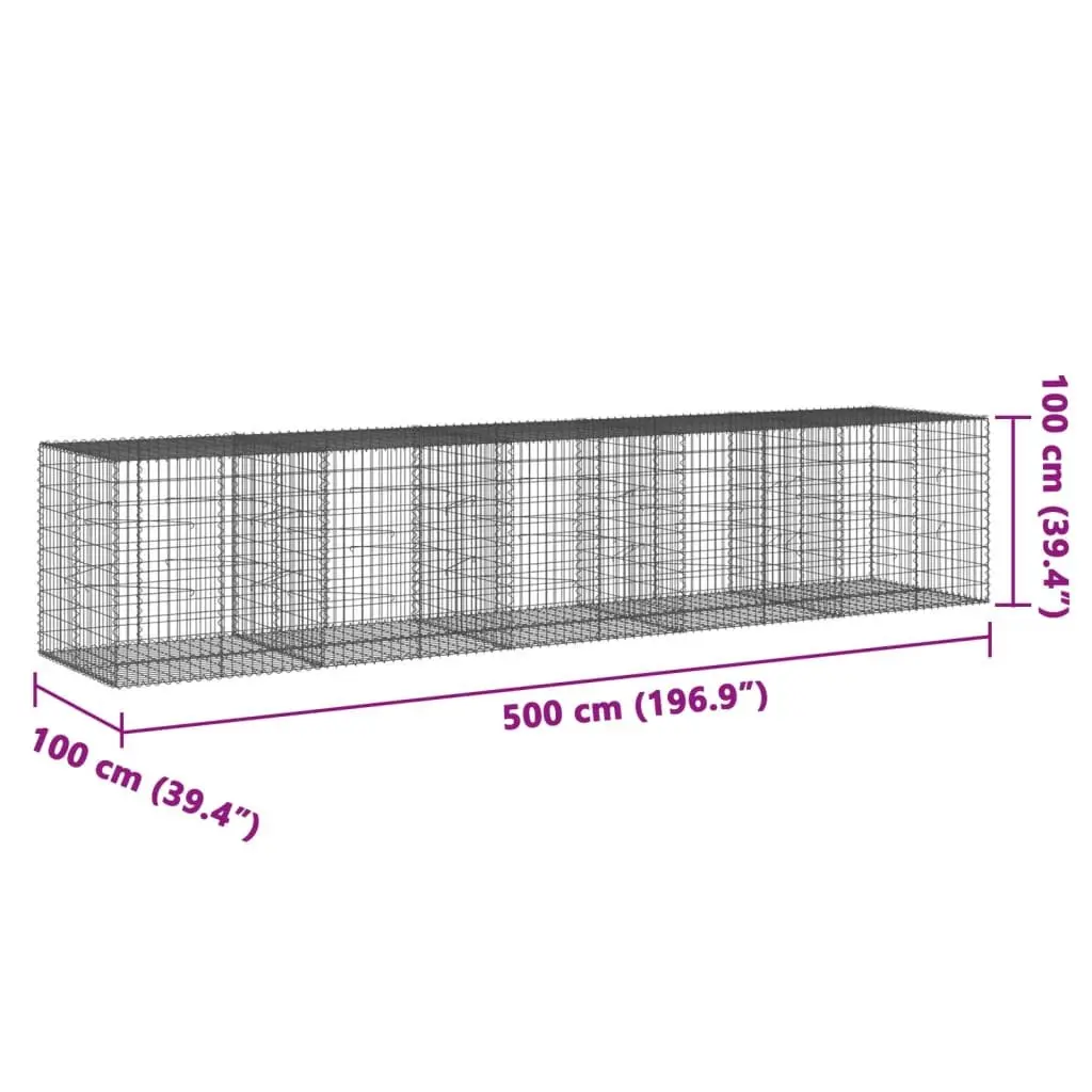 Gabion Basket Galvanised Iron Wire Cage 500x100x100cm Garden with Cover