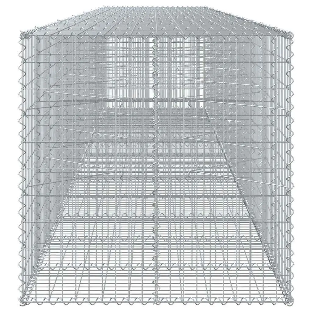 Gabion Basket with Cover Galvanised Iron Wire 650x100x100 cm Outdoor Garden Landscaping