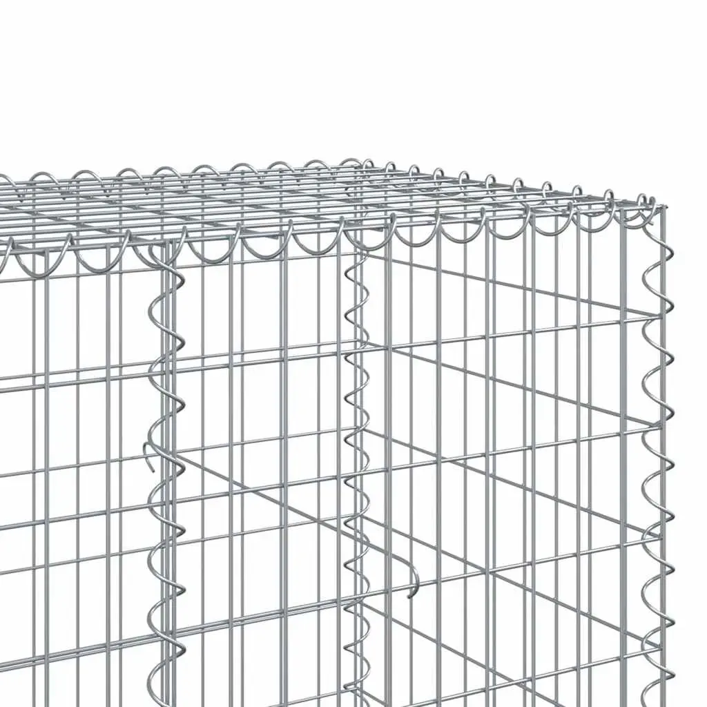 Gabion Basket with Cover Galvanised Iron Wire 650x100x100 cm Outdoor Garden Landscaping