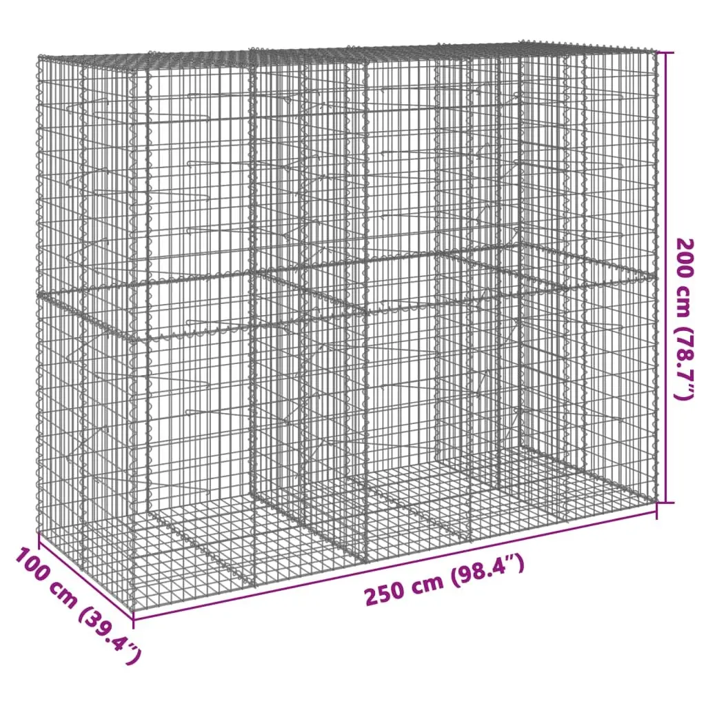 Gabion Basket with Cover 250x100x200 cm Galvanised Iron Wire Garden Retaining