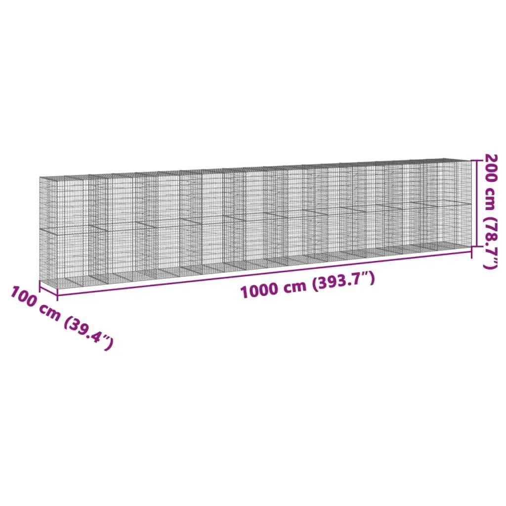 Gabion Basket with Cover 1000x100x200 cm