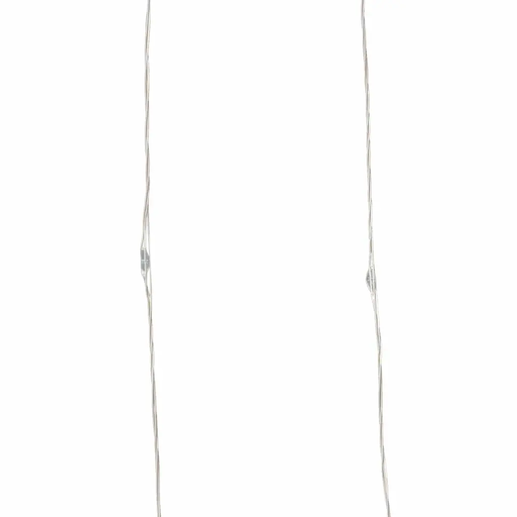 LED String Lights Cold White 300 LEDs 30m Indoor Outdoor