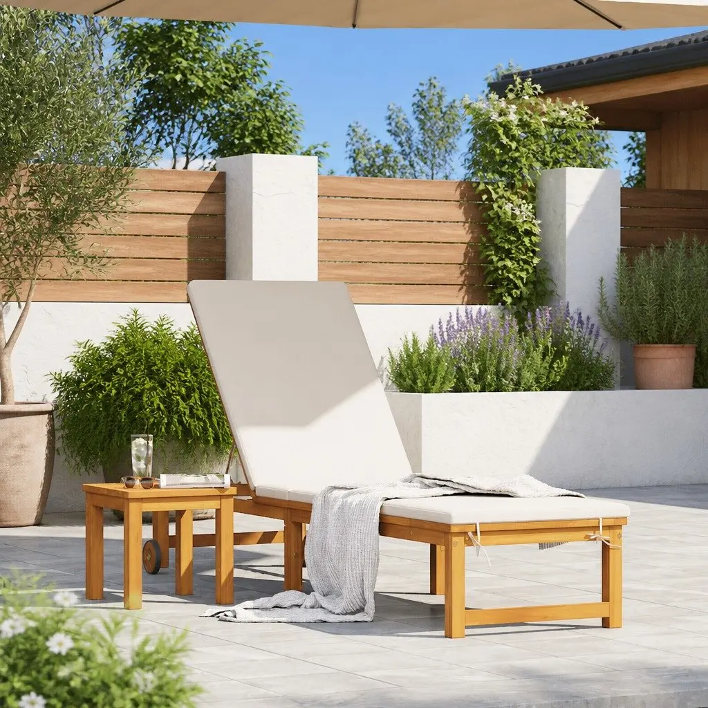 2 pcs Brown Sun Lounger Set