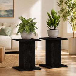 Set of 2 Black Plant Stands, Perfect for You
