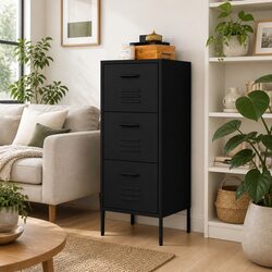 Your Go-To Black Storage Cabinet for Home Organisation