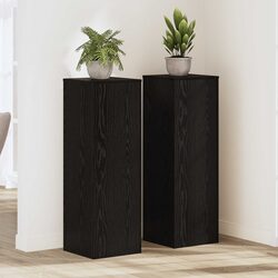 Friendly 2-Piece Black Plant Stand Set for Your Plants