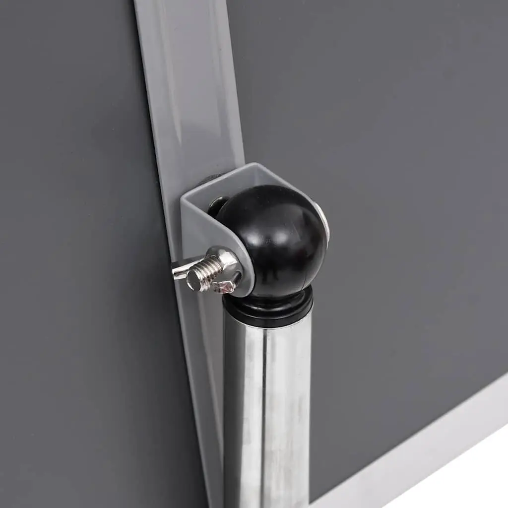 Poster Stand 2 pcs Silver 45 x 32.7 x 108 cm Height Adjustable Rotatable Display