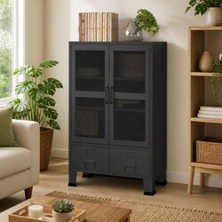 Your New Storage Solution: Metal Chest with 2 Drawers