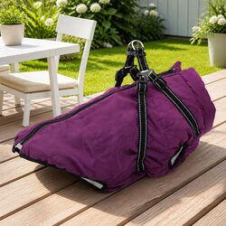 Your Dog’s Essential Purple Coat L44 for Outdoor Comfort