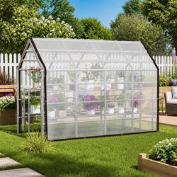 Your Outdoor Companion: Transparent Tarpaulin 3 x 4 m
