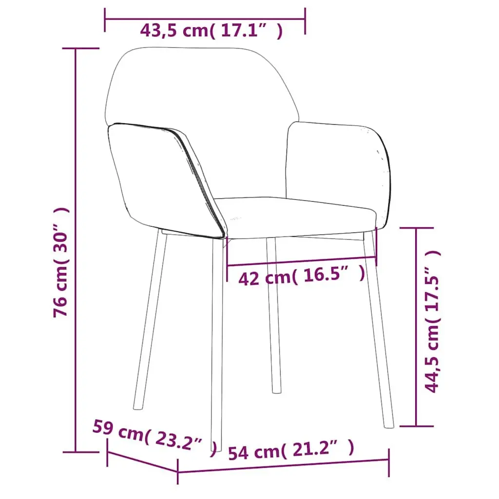 Dining Chairs Velvet Black Padded Armrest Backrest 2 Piece