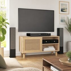 Your New Favorite TV Cabinet with Rattan Door Design