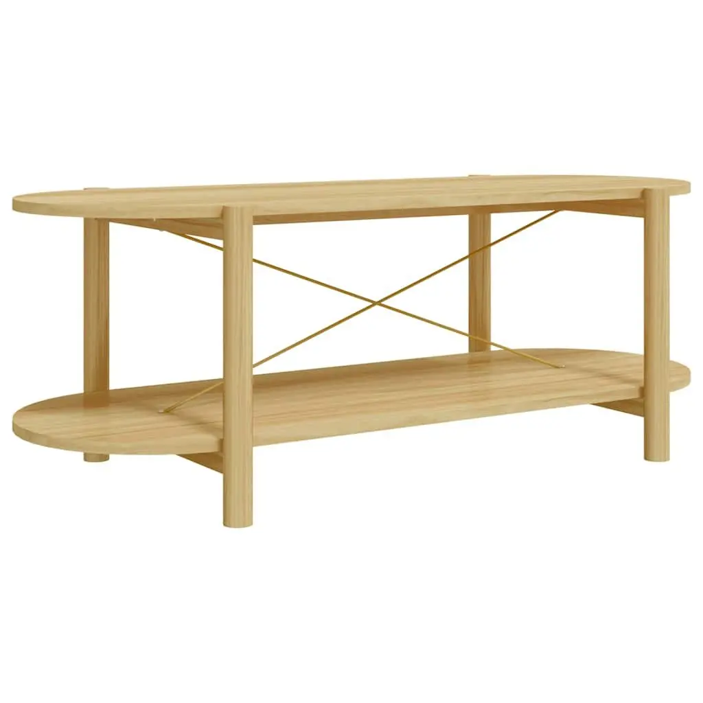 Coffee Table Engineered Wood Brown 110x48x40 cm Storage Side Table