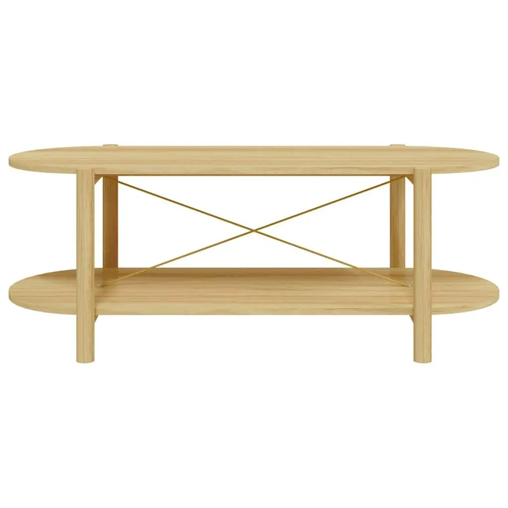 Coffee Table Engineered Wood Brown 110x48x40 cm Storage Side Table