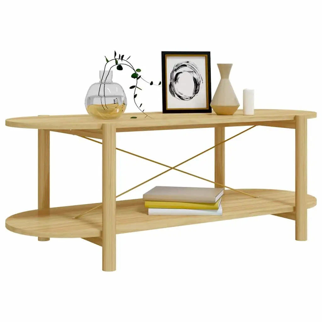 Coffee Table Engineered Wood Brown 110x48x40 cm Storage Side Table
