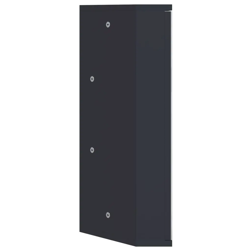 Corner Bathroom Mirror Cabinet Grey Wall-Mounted Storage 30x24x60cm