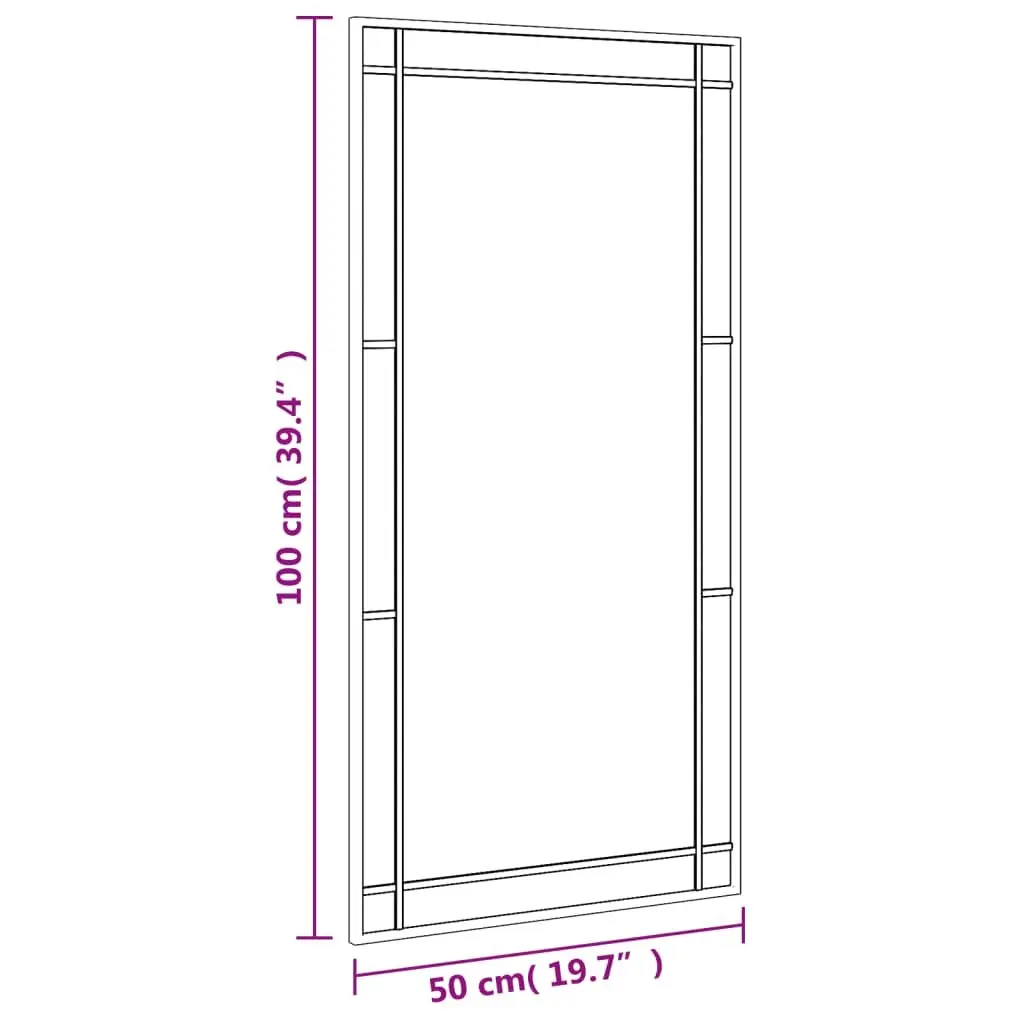 Wall Mirror Minimalist Black 50x100 cm Iron Frame