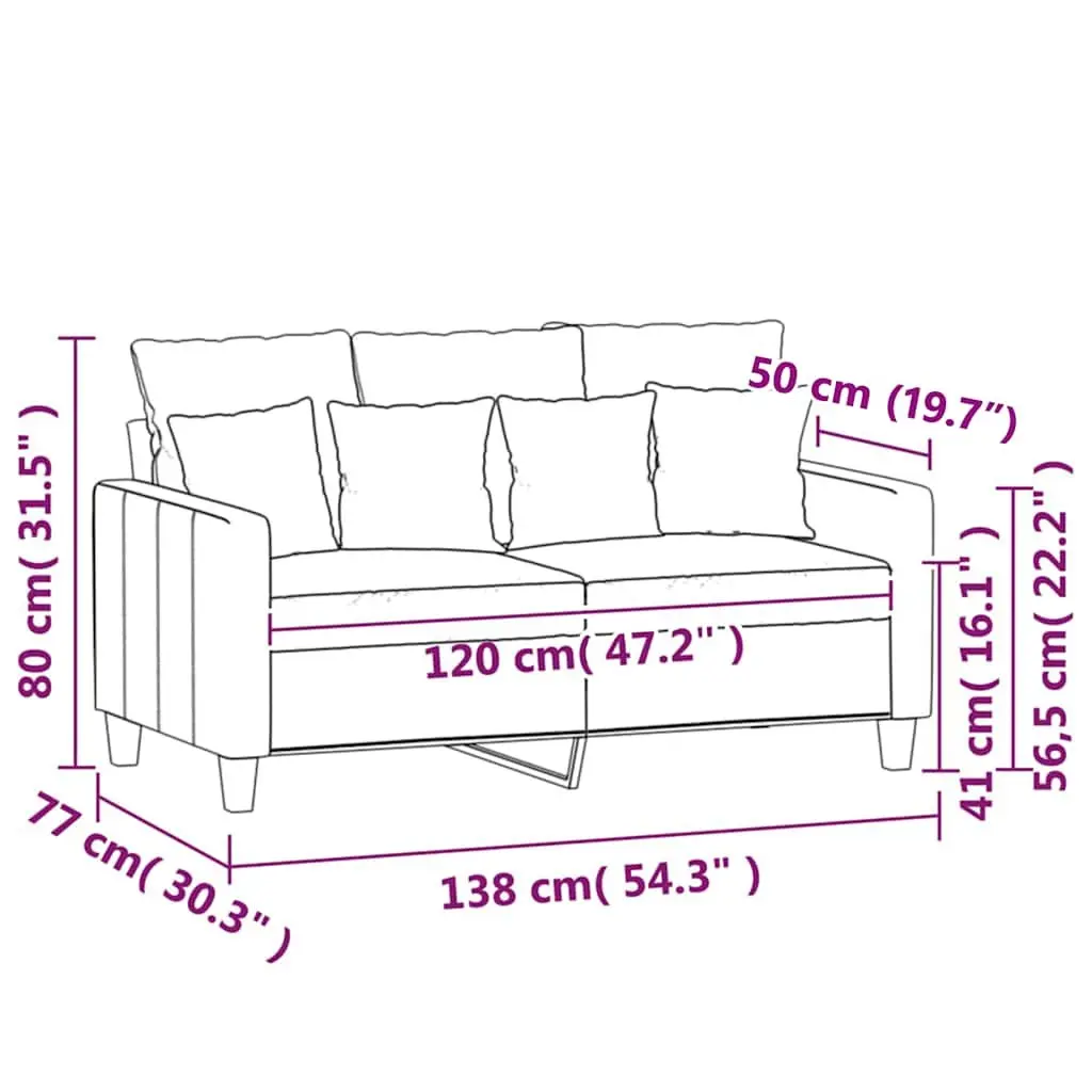2-Seater Sofa Grey Velvet 120cm Modern Living Room Couch Comfortable Padded