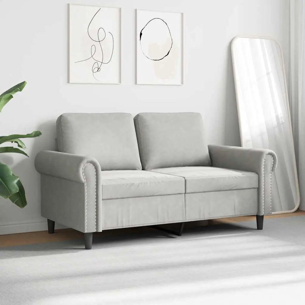 2-Seater Sofa Grey Velvet 120cm Modern Living Room Couch Comfortable Padded