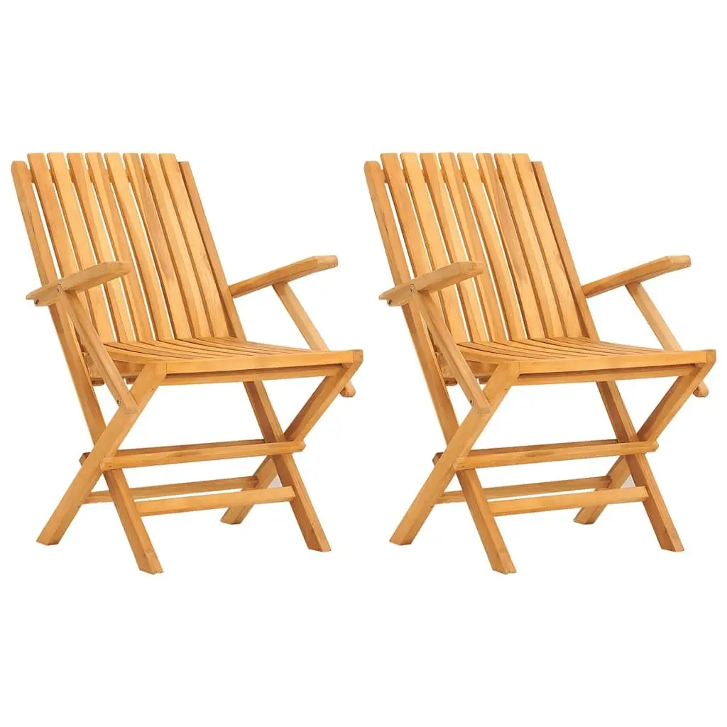 Folding Garden Chairs Solid Wood Outdoor Seating with Backrest and Armrests 2 Piece