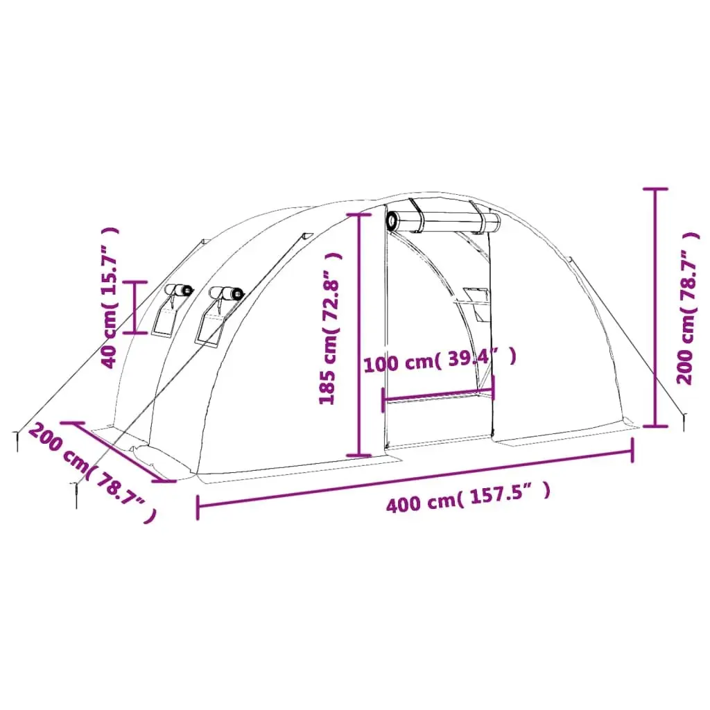 Greenhouse with Steel Frame White 8 m² 4x2x2 m Garden Plant House