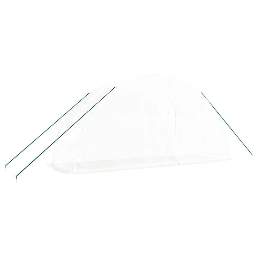 Greenhouse PE Cover Steel Frame 6x2x2.85m White 12m² Garden Plant House