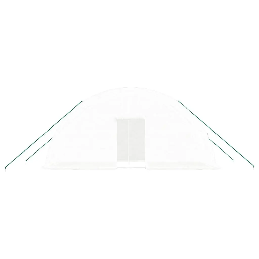 Greenhouse PE Cover Steel Frame 6x2x2.85m White 12m² Garden Plant House