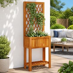 Wooden Planter and Trellis Shelf for Outdoor Spaces 55x29.5x152cm