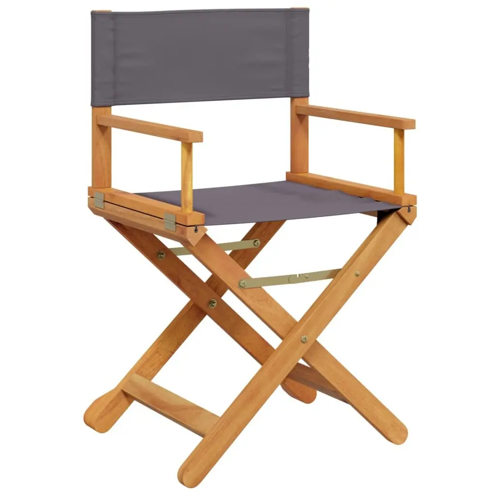 Folding Director Chairs for Outdoor Fun