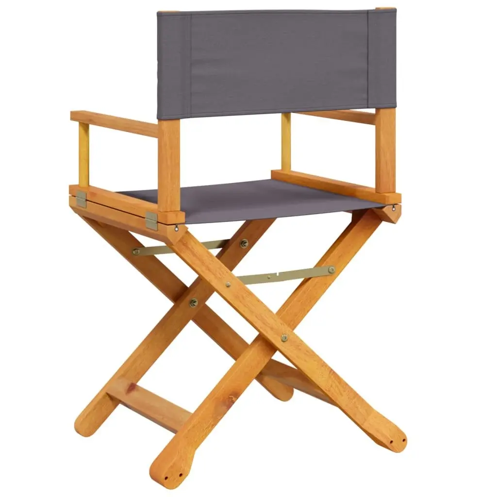 Folding Director Chairs for Outdoor Fun