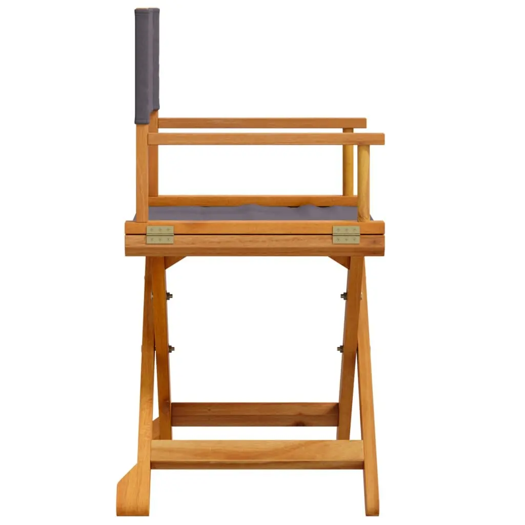 Folding Director Chairs for Outdoor Fun