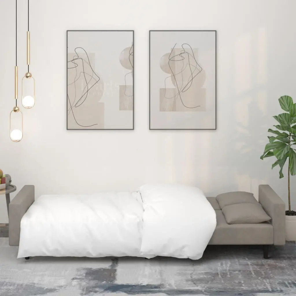 2-Seater Sofa Bed Convertible Day Bed with Pillows Grey Velvet Guest Furniture