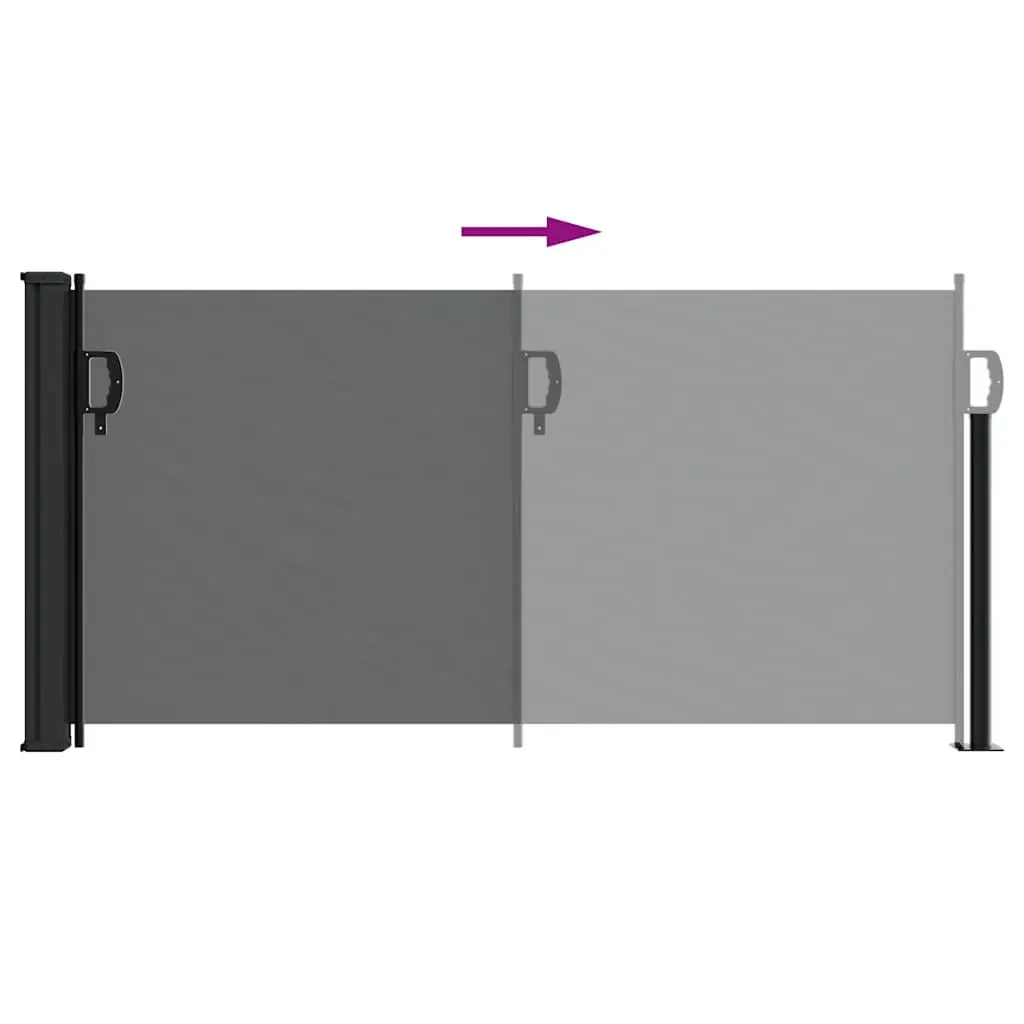 Retractable Side Awning Black 100x300cm Garden Privacy Screen