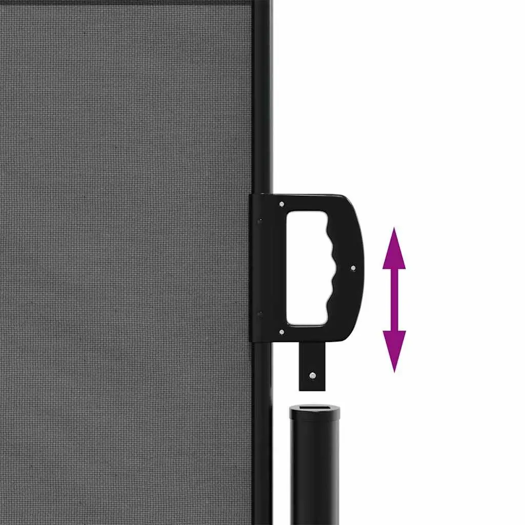 Retractable Side Awning Garden Privacy Screen 100x300cm Anthracite