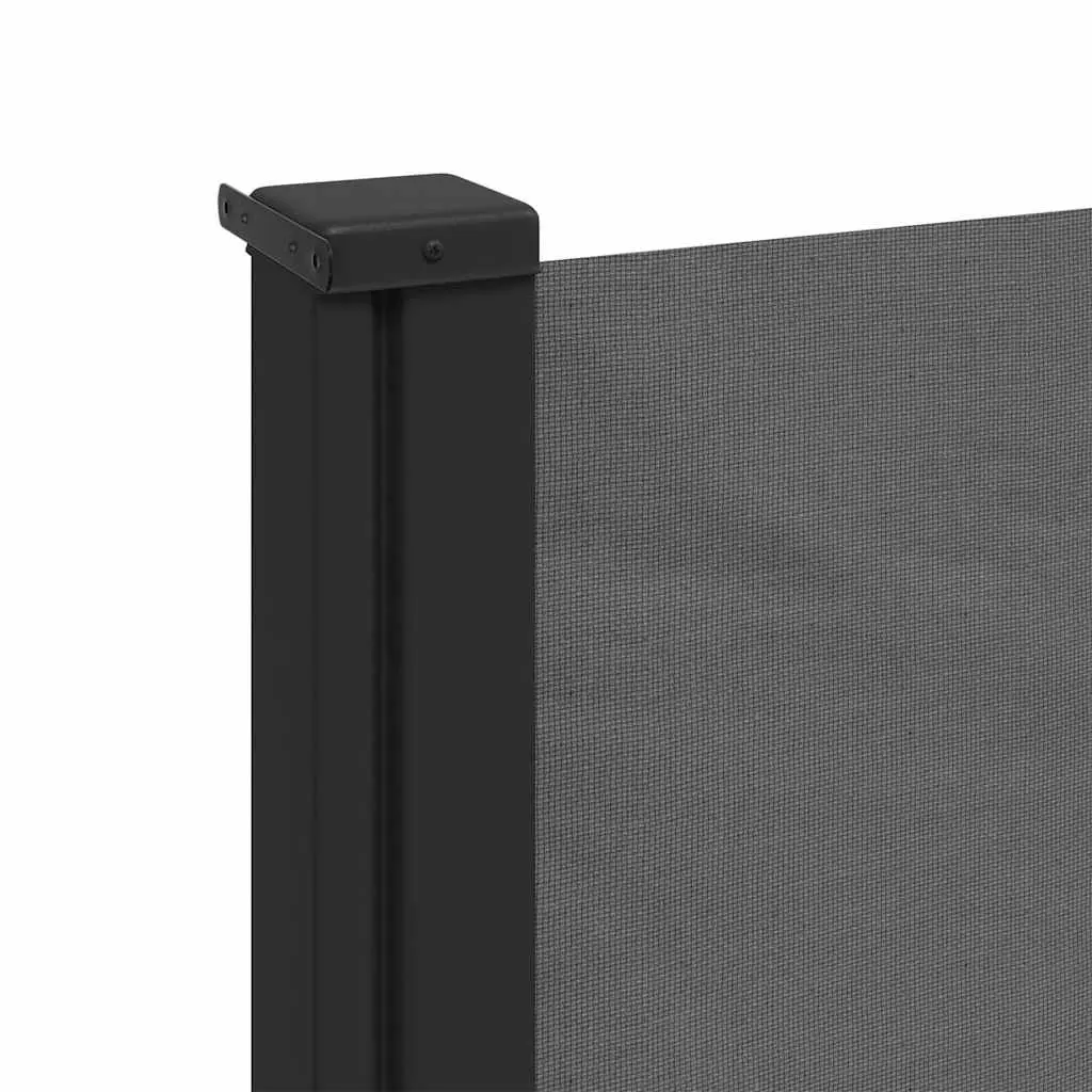 Retractable Side Awning Garden Privacy Screen 100x300cm Anthracite