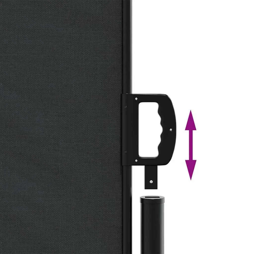 Retractable Side Awning Black 160x300 cm Garden Privacy Screen Outdoor