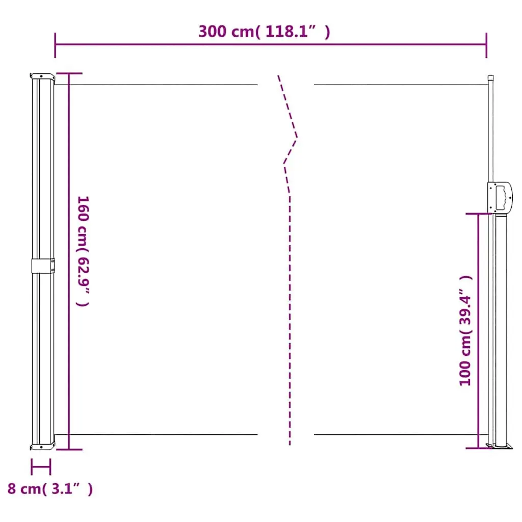 Retractable Side Awning Black 160x300 cm Garden Privacy Screen Outdoor