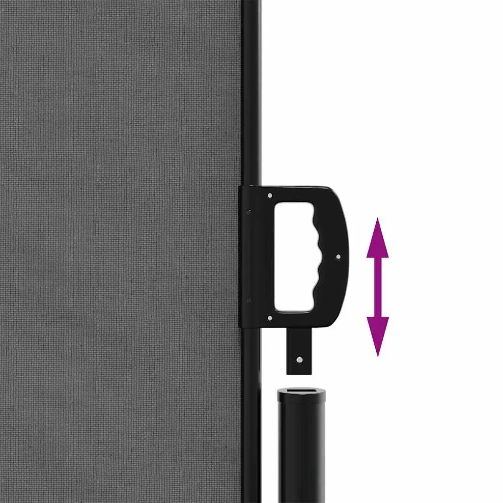 Retractable Side Awning Anthracite 160x300cm Garden Privacy Screen