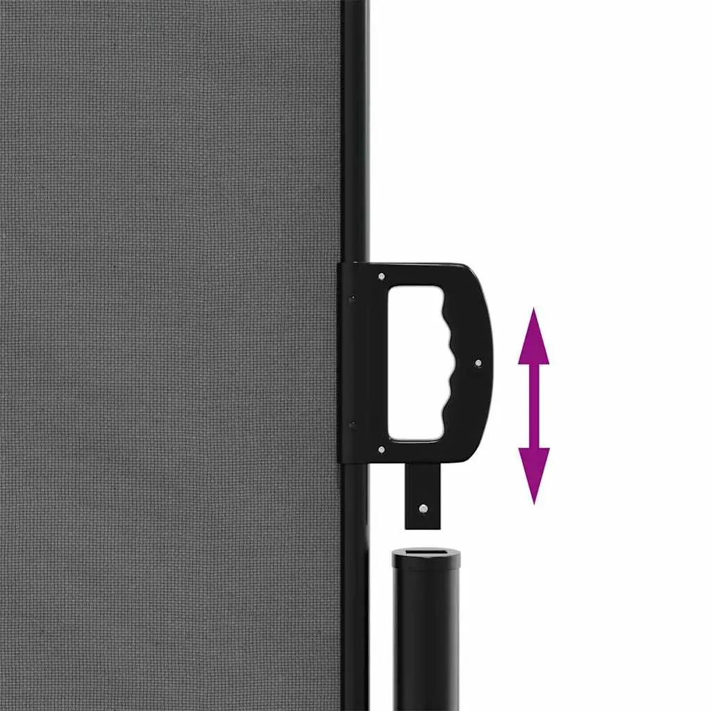 Outdoor Garden Retractable Awning Privacy Screen Anthracite 200x300cm