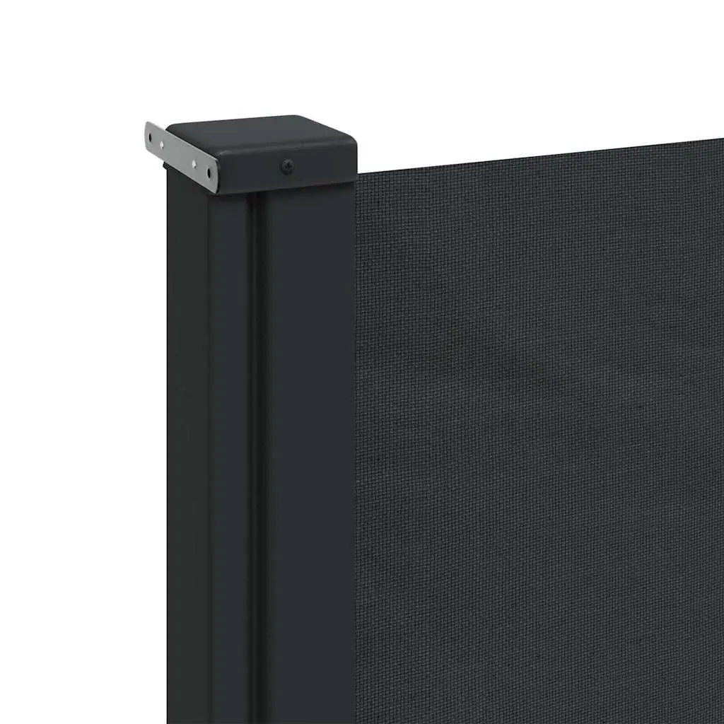 Retractable Side Awning Black 220x300 cm Garden Privacy Screen