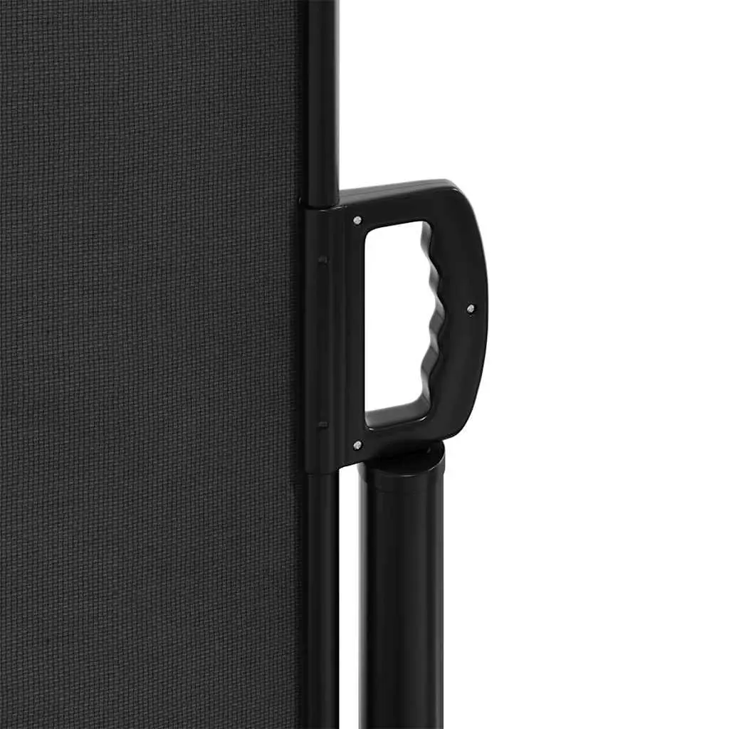 Retractable Side Awning Black 220x300 cm Garden Privacy Screen