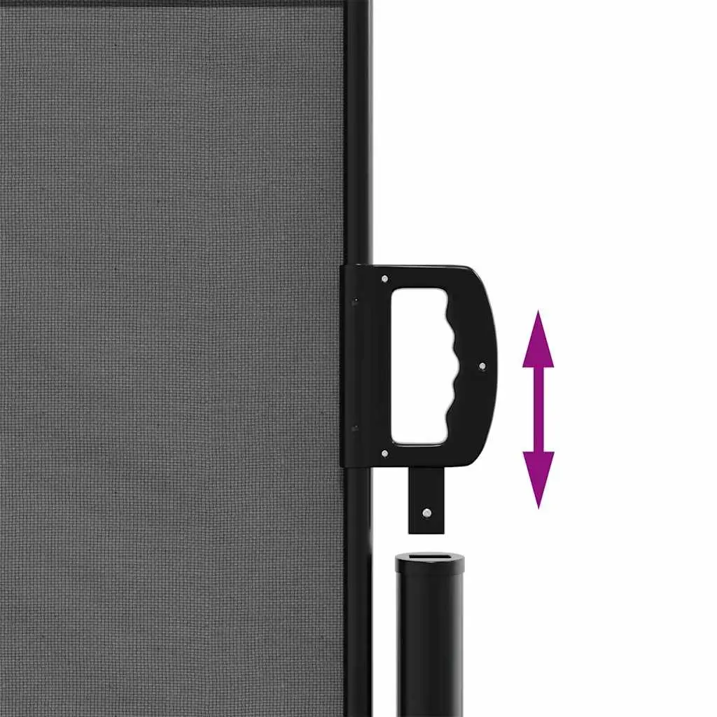 Retractable Side Awning Anthracite 120x500cm Privacy Screen Garden Shade