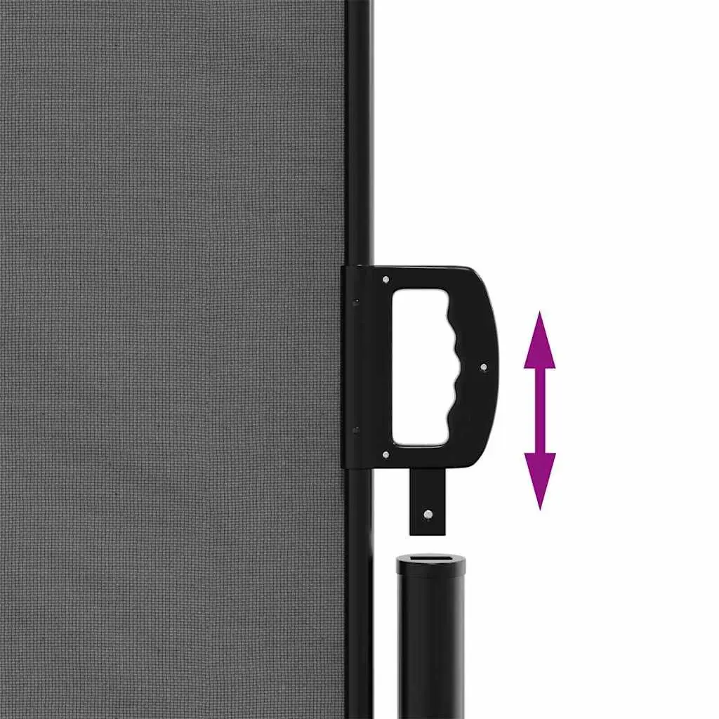 Retractable Side Awning Anthracite 160x600cm Garden Privacy Screen